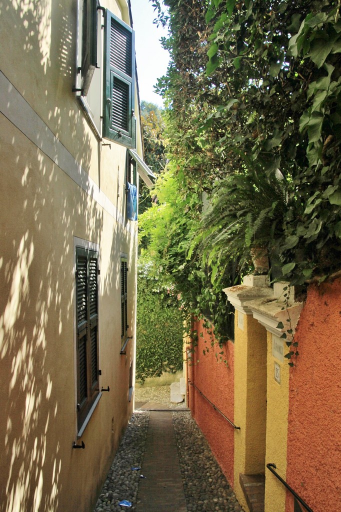 Foto: Vista del pueblo - Portofino (Liguria), Italia