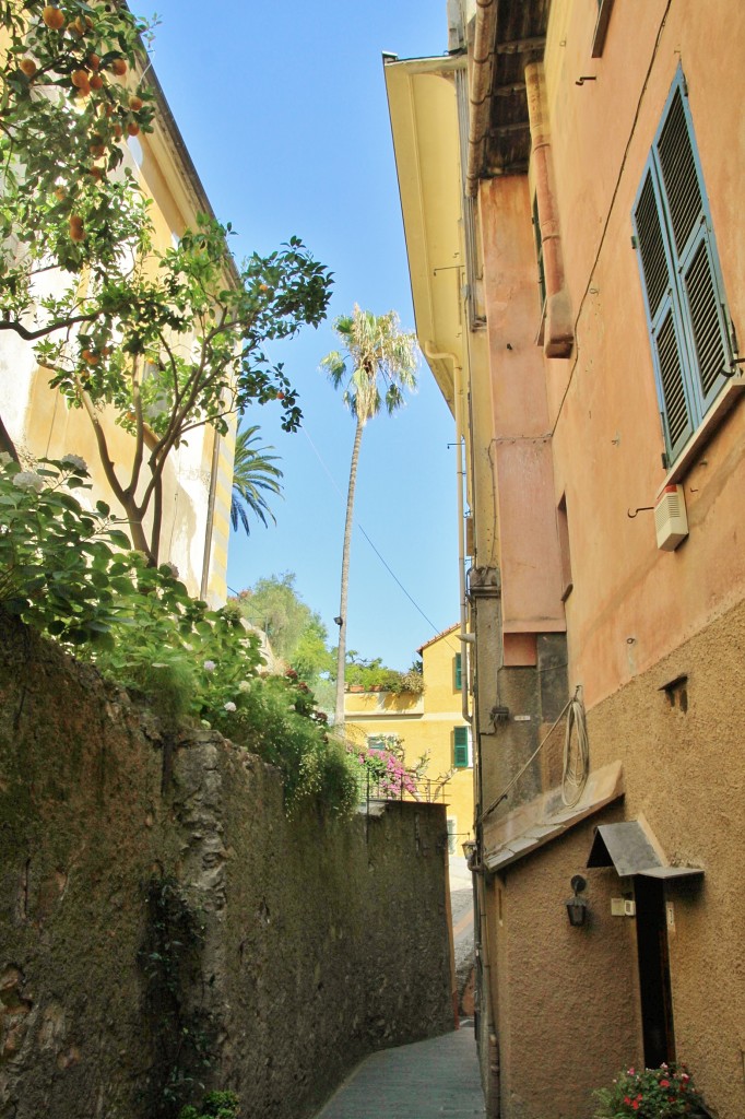 Foto: Vista del pueblo - Portofino (Liguria), Italia