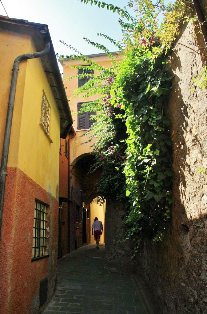 Foto: Vista del pueblo - Portofino (Liguria), Italia