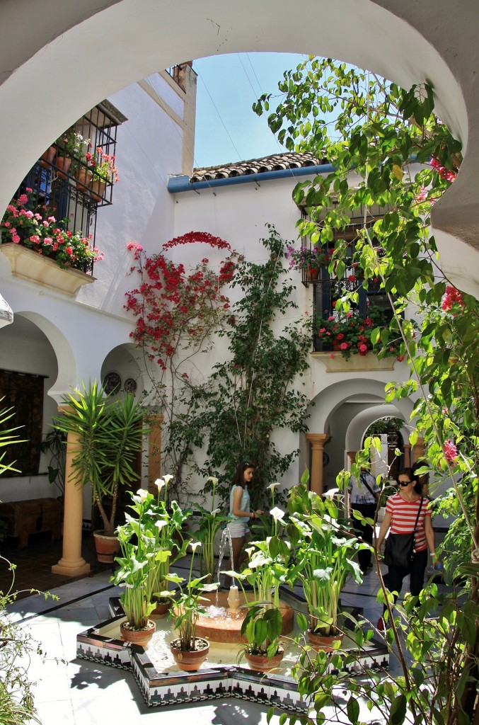 Foto: Patio cordobés - Córdoba (Andalucía), España