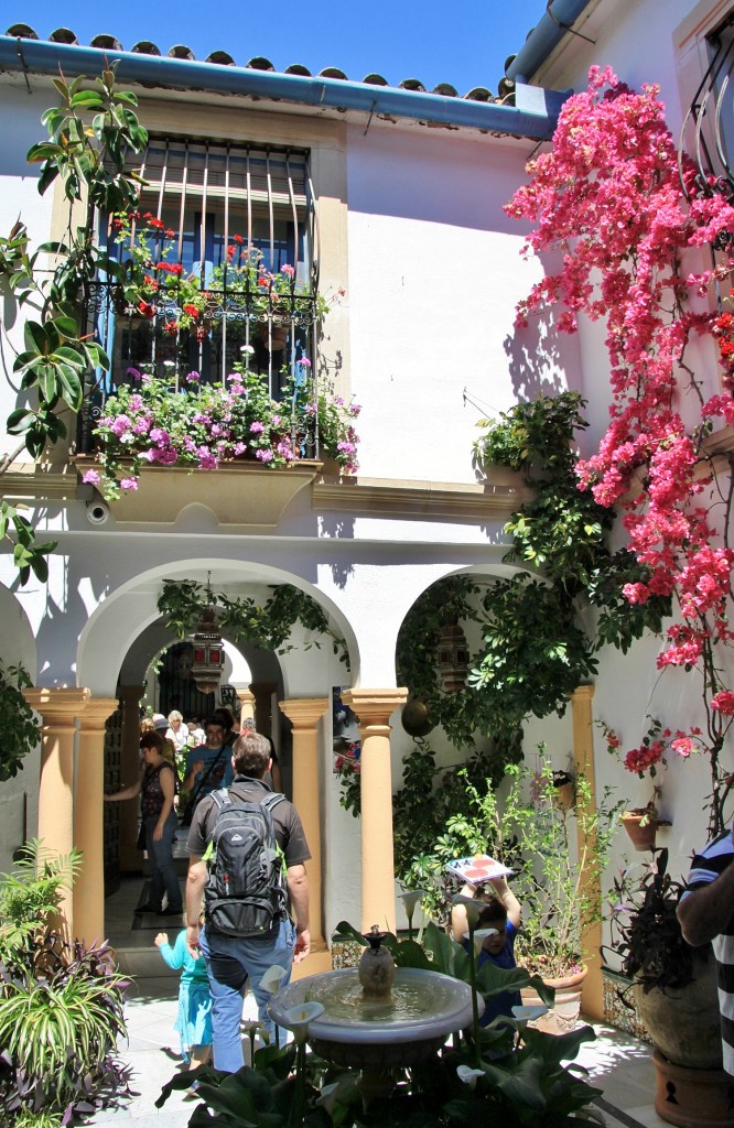 Foto: Patio cordobés - Córdoba (Andalucía), España