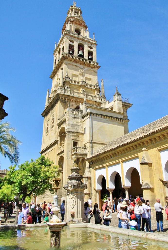 Foto: Jardines de la mezquita - Córdoba (Andalucía), España