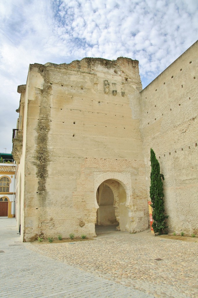 Foto: Murallas - Palma del Río (Córdoba), España