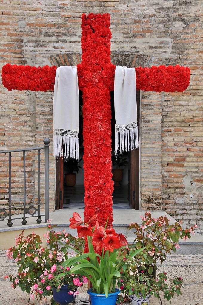 Foto: Cruz de Mayo - Palma del Río (Córdoba), España