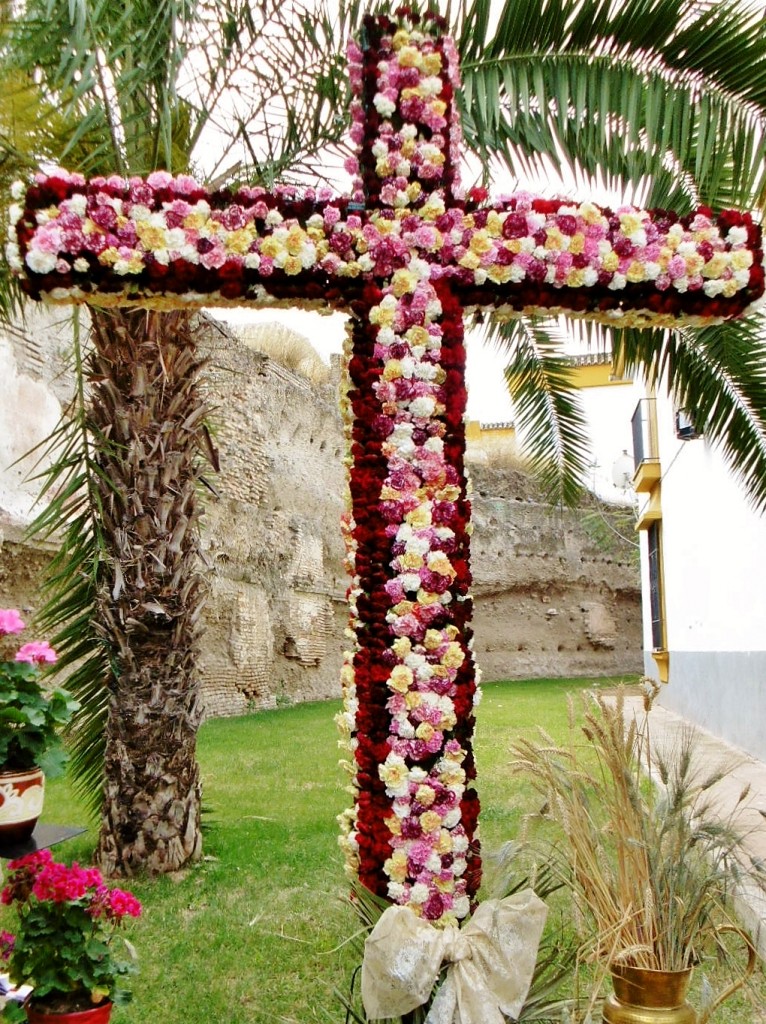 Foto: Cruz de Mayo - Palma del Río (Córdoba), España