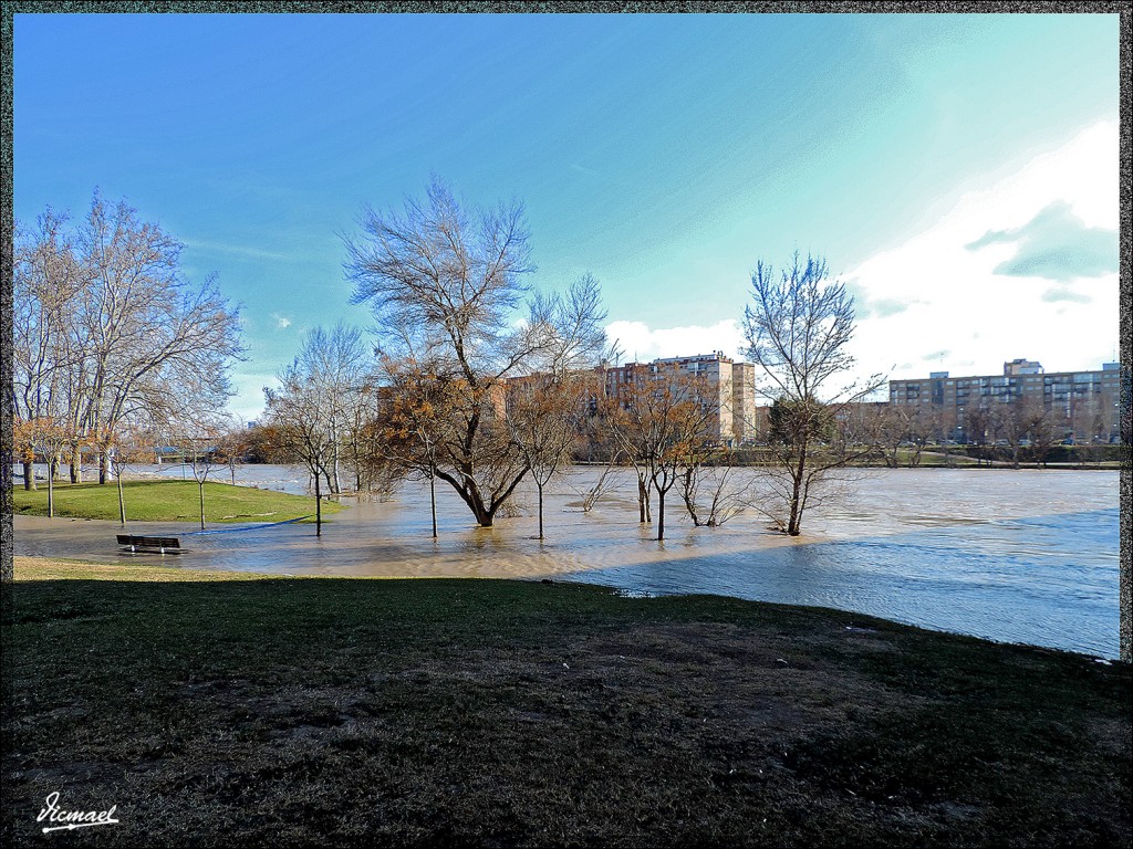 Foto: 150204-04 RIADA EN EL EBRO - Zaragoza (Aragón), España