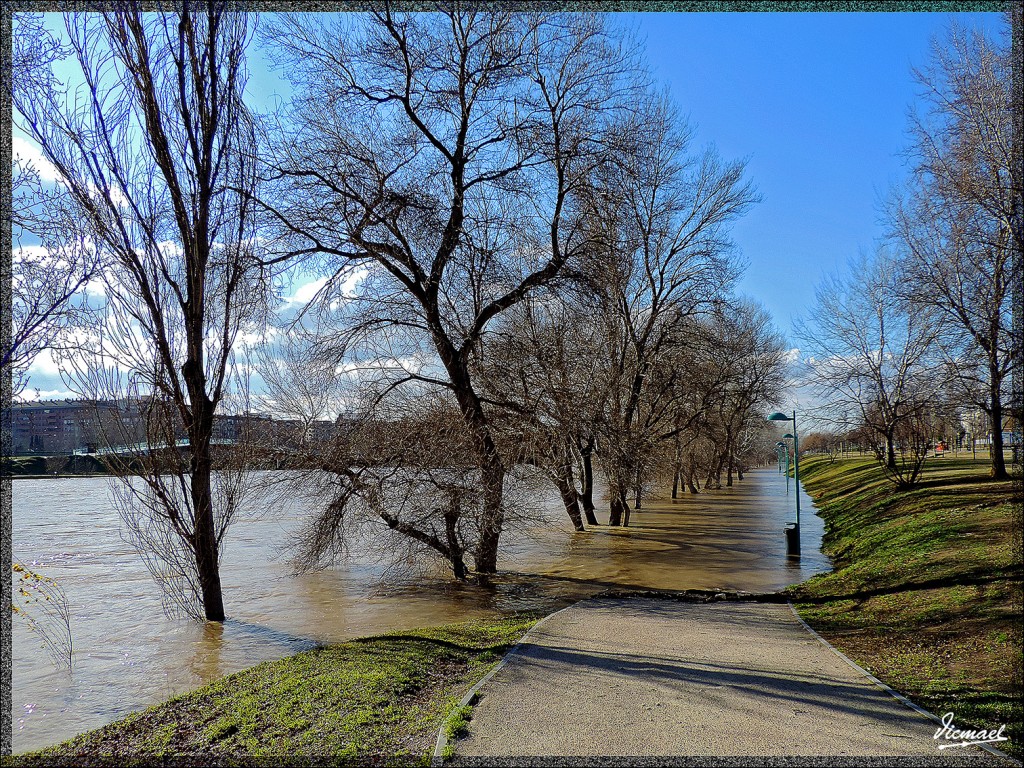 Foto: 150204-05 RIADA EN EL EBRO - Zaragoza (Aragón), España