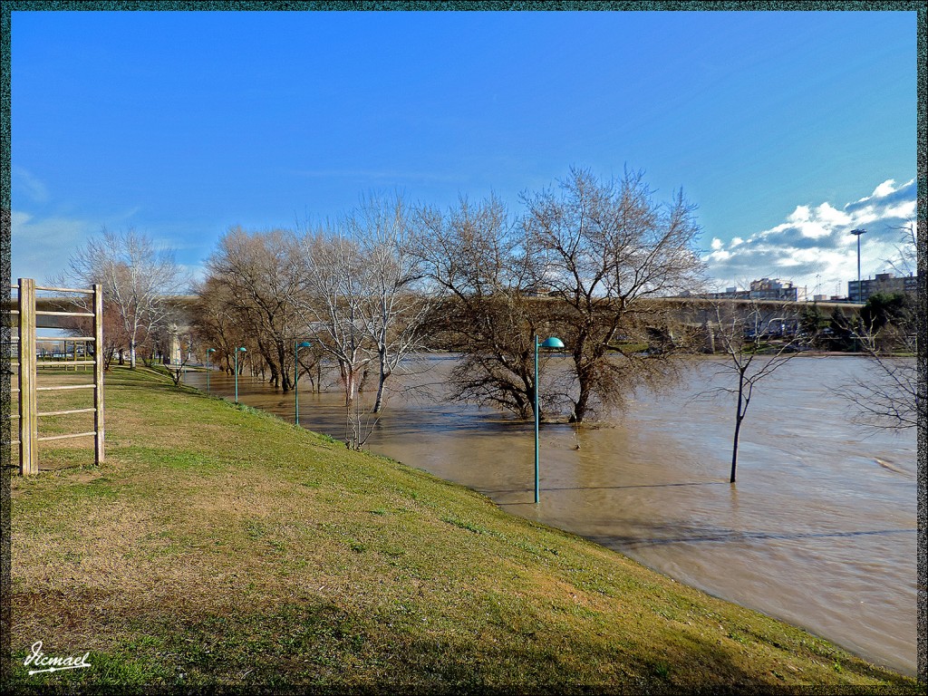 Foto: 150204-06 RIADA EN EL EBRO - Zaragoza (Aragón), España