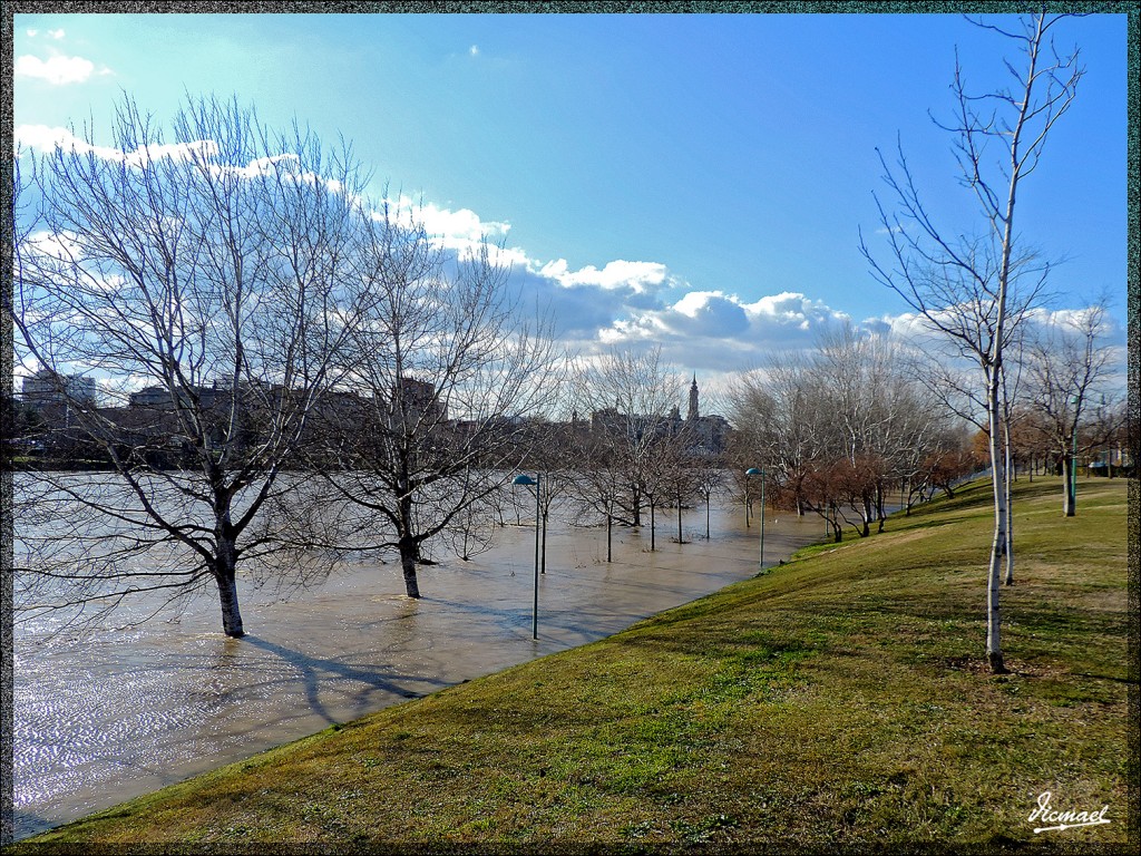 Foto: 150204-07 RIADA EN EL EBRO - Zaragoza (Aragón), España