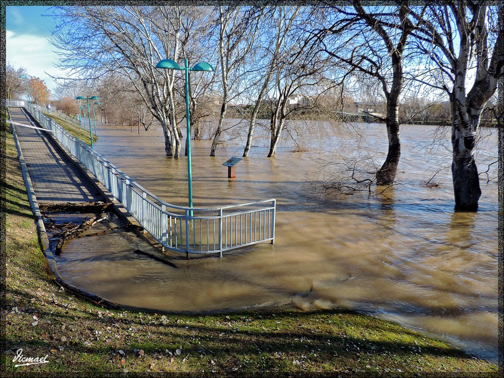 Foto: 150204-08 RIADA EN EL EBRO - Zaragoza (Aragón), España