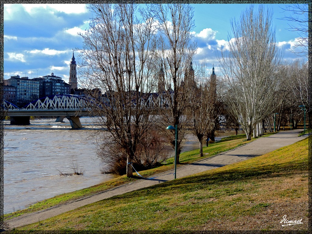 Foto: 150204-11 RIADA EN EL EBRO - Zaragoza (Aragón), España