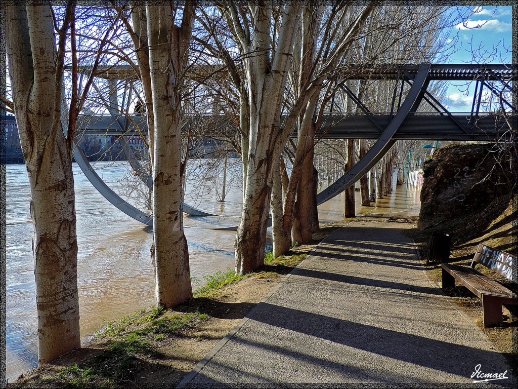 Foto: 150204-14 RIADA EN EL EBRO - Zaragoza (Aragón), España