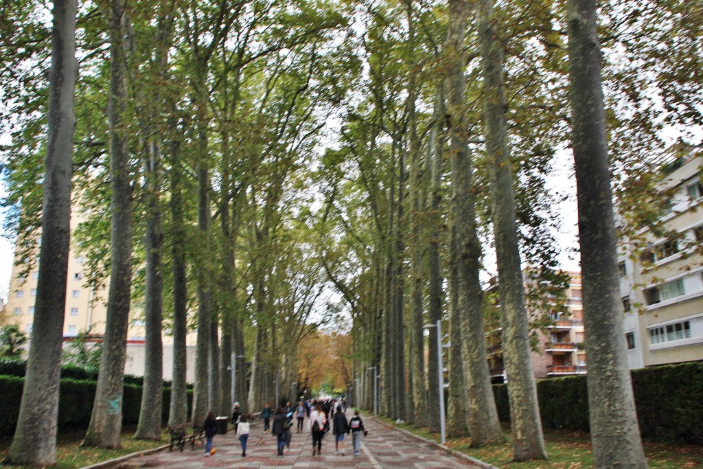 Foto: Vista de la ciudad - Vitoria (Gasteiz) (Álava), España