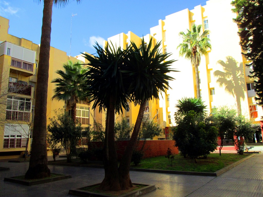 Foto: Plaza Estero - San Fernando (Cádiz), España