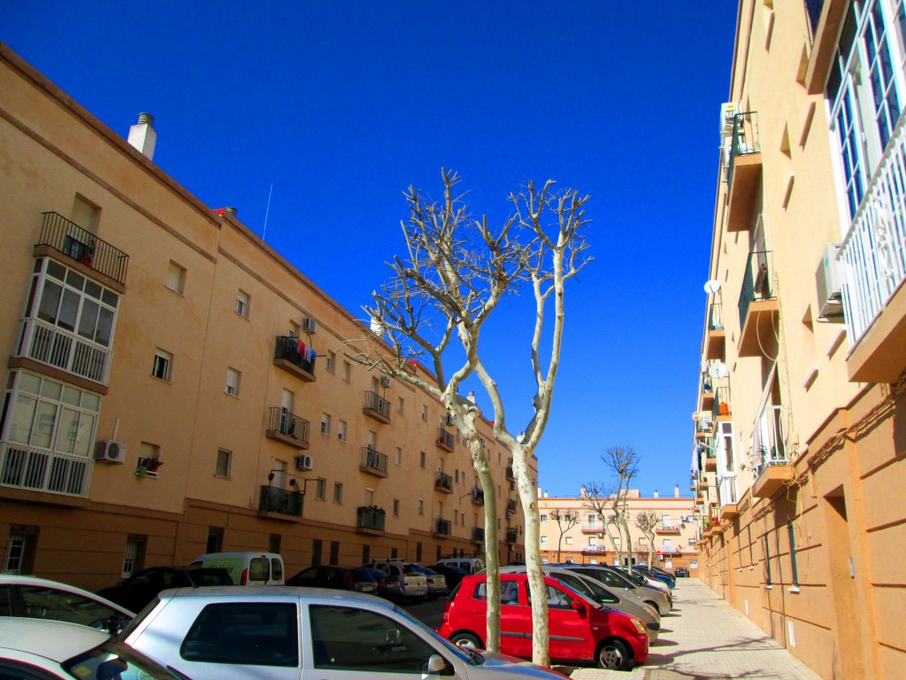 Foto: Calle Goya - San Fernando (Cádiz), España