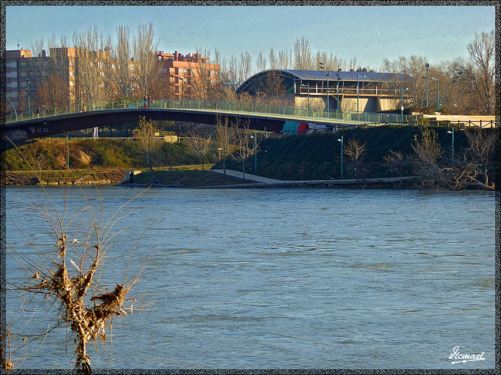 Foto: 150210-04 RIBERA DEL EBRO - Zaragoza (Aragón), España