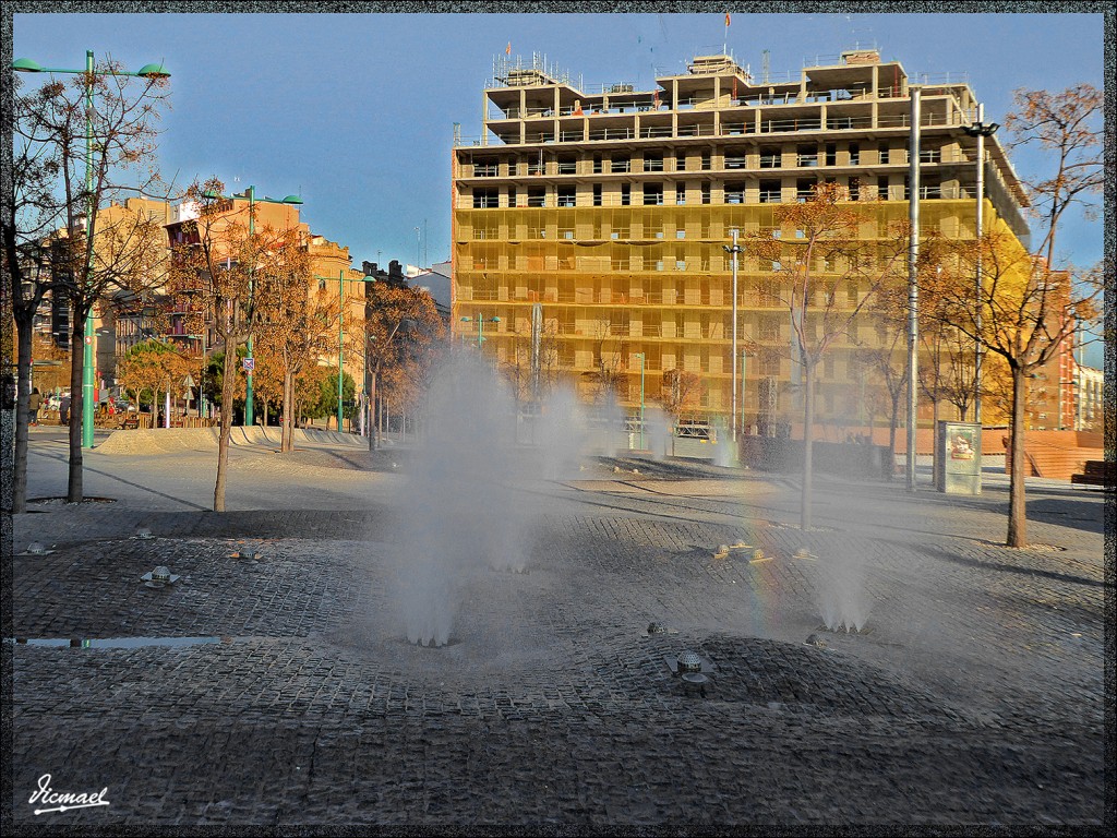 Foto: 150210-10 RIBERA DEL EBRO - Zaragoza (Aragón), España