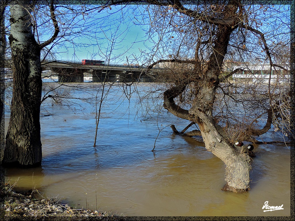 Foto: 150218-01 RIADA EN EL ,EBRO - Zaragoza (Aragón), España