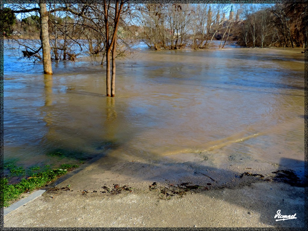 Foto: 150218-03 RIADA EN EL ,EBRO - Zaragoza (Aragón), España