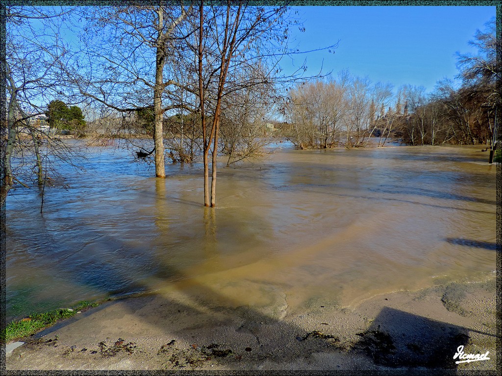 Foto: 150218-04 RIADA EN EL ,EBRO - Zaragoza (Aragón), España