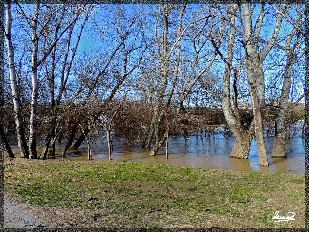 Foto: 150218-05 RIADA EN EL ,EBRO - Zaragoza (Aragón), España