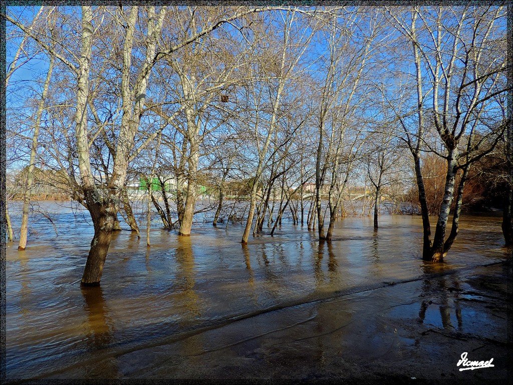 Foto: 150218-21 RIADA EN EL ,EBRO - Zaragoza (Aragón), España