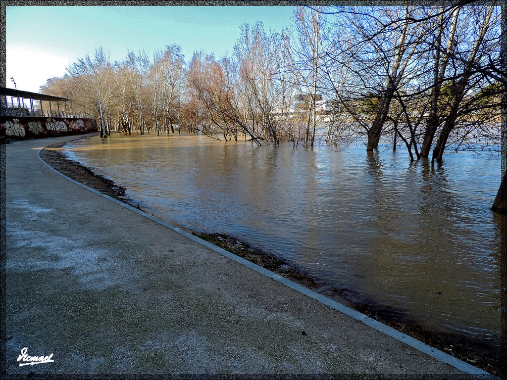 Foto: 150218-22 RIADA EN EL ,EBRO - Zaragoza (Aragón), España