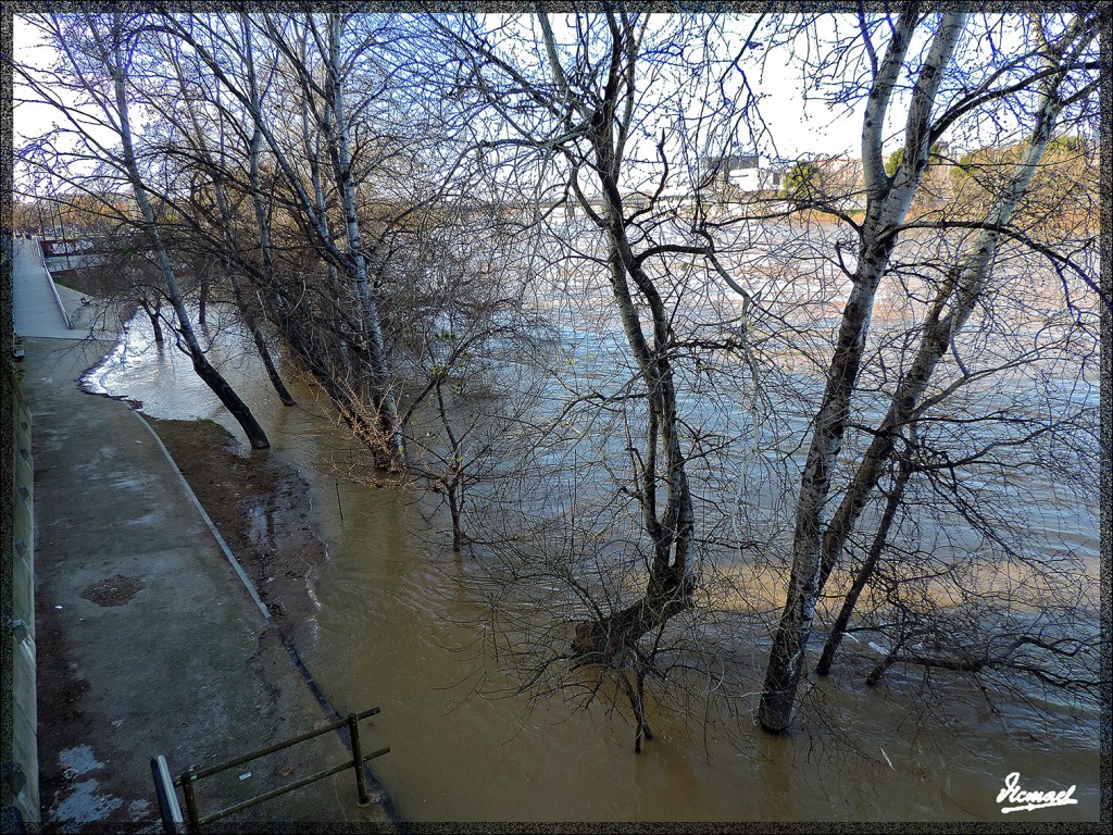 Foto: 150218-24 RIADA EN EL ,EBRO - Zaragoza (Aragón), España