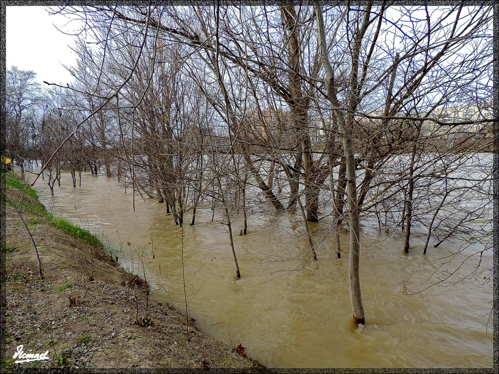 Foto: 150220-14 ZARAGOZA RIO EBRO - Zaragoza (Aragón), España