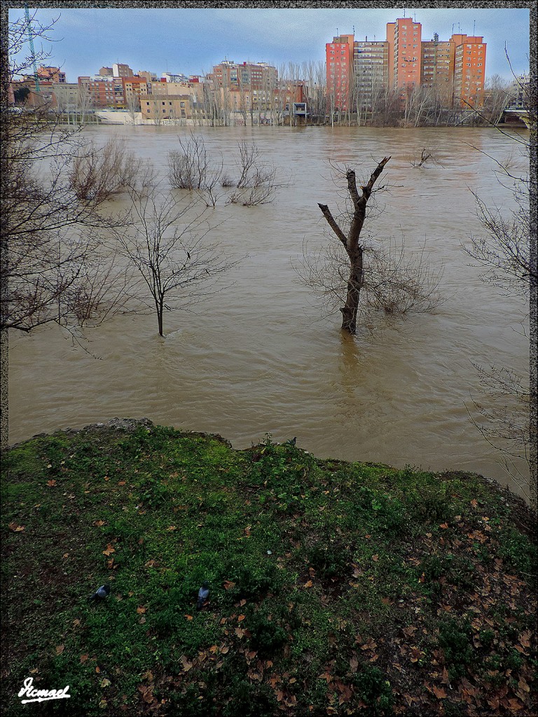 Foto: 150220-21 ZARAGOZA RIO EBRO - Zaragoza (Aragón), España