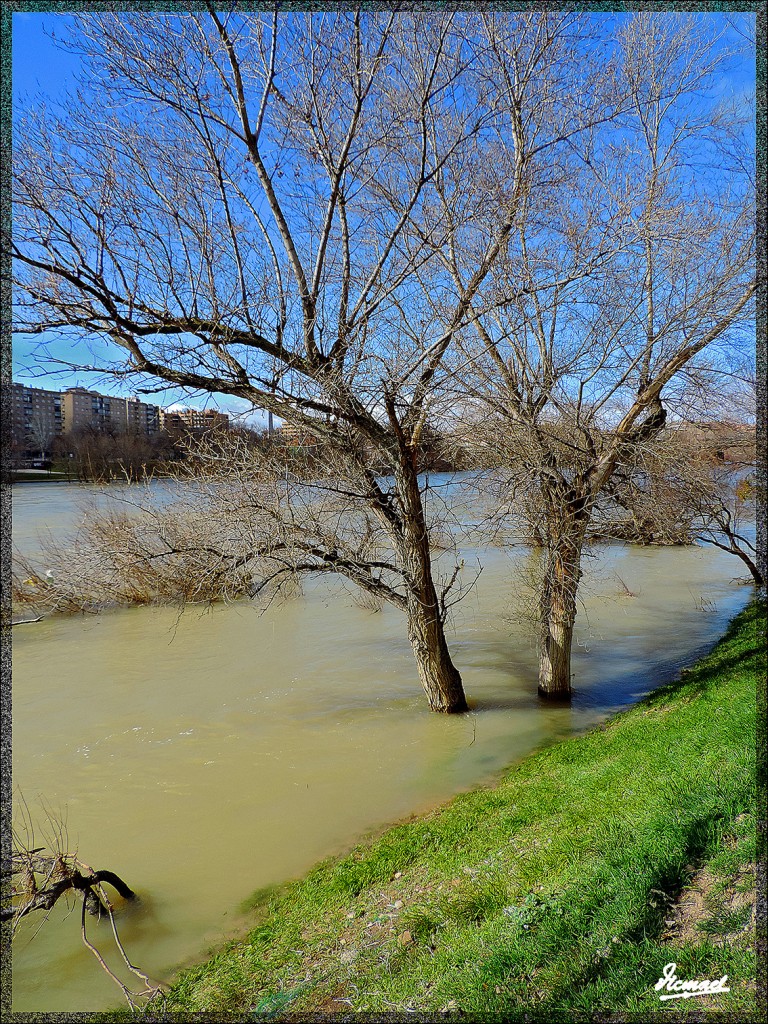 Foto: 150222-19 ZARAGOZA RIO EBRO - Zaragoza (Aragón), España