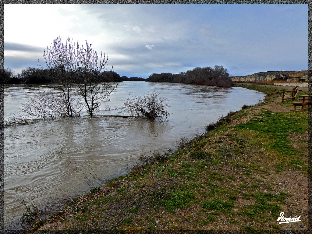 Foto: 150224-05 RIO EBRO EN JUSLIBOL - Zaragoza (Aragón), España