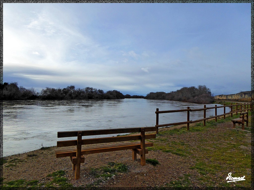 Foto: 150224-06 RIO EBRO EN JUSLIBOL - Zaragoza (Aragón), España