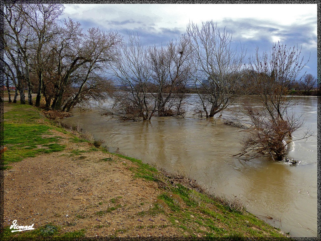 Foto: 150224-07 RIO EBRO EN JUSLIBOL - Zaragoza (Aragón), España