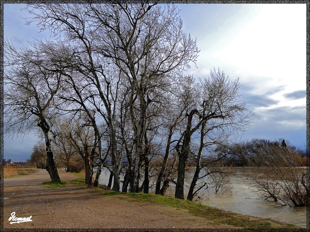 Foto: 150224-08 RIO EBRO EN JUSLIBOL - Zaragoza (Aragón), España