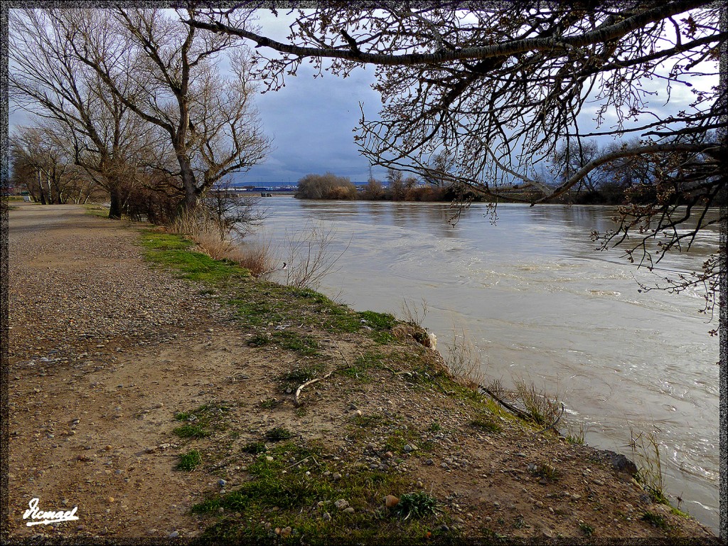 Foto: 150224-09 RIO EBRO EN JUSLIBOL - Zaragoza (Aragón), España