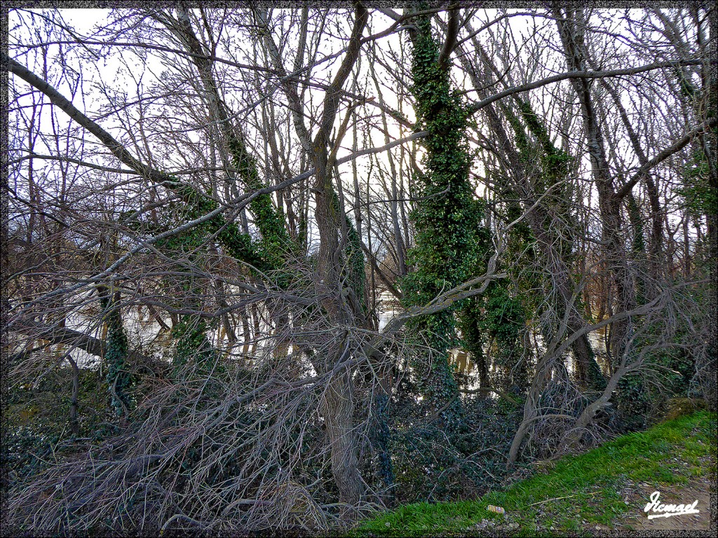 Foto: 150224-11 RIO EBRO EN JUSLIBOL - Zaragoza (Aragón), España