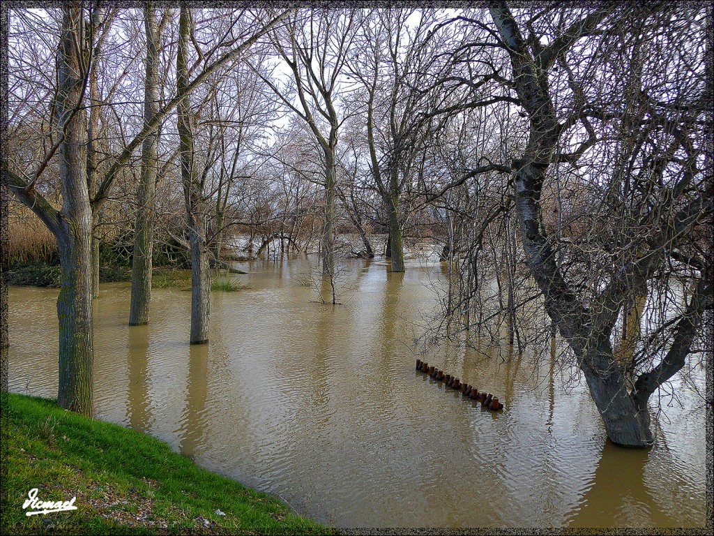 Foto: 150224-14 RIO EBRO EN JUSLIBOL - Zaragoza (Aragón), España