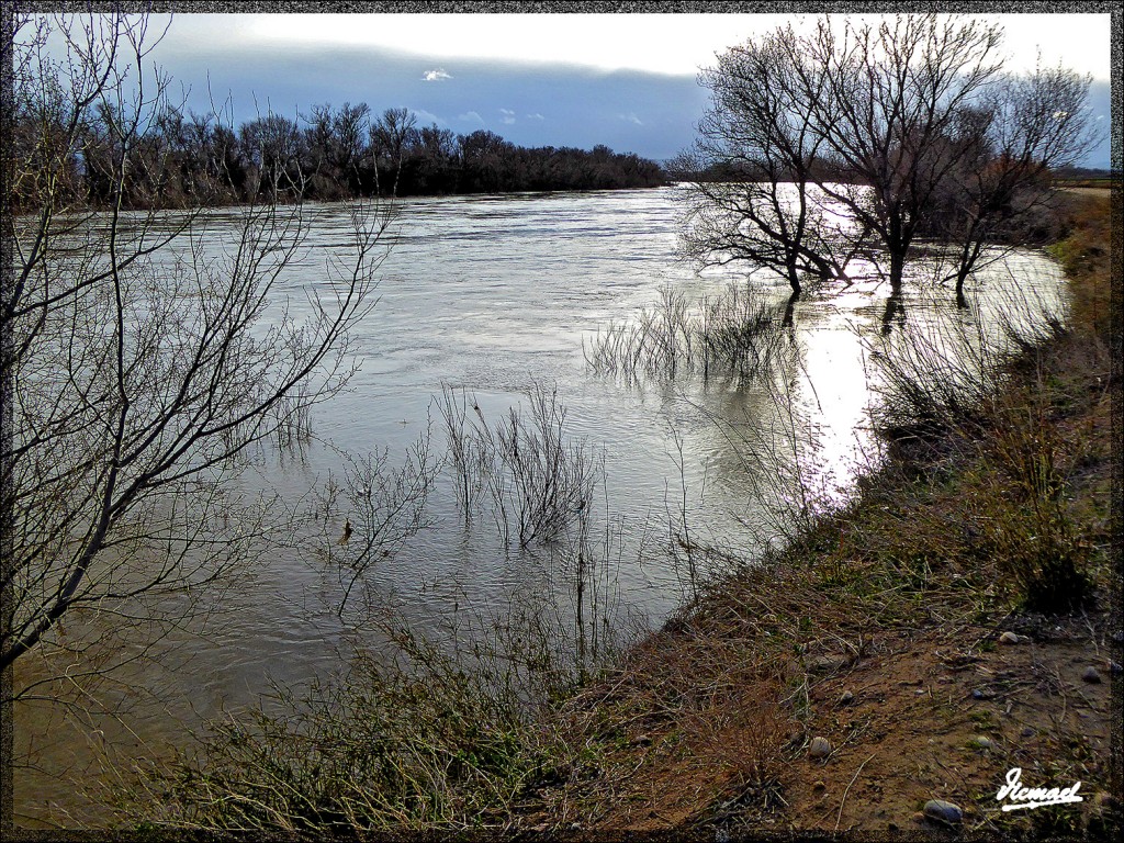 Foto: 150224-16 RIO EBRO EN JUSLIBOL - Zaragoza (Aragón), España