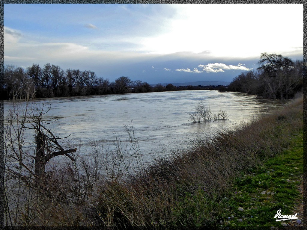 Foto: 150224-20 RIO EBRO EN JUSLIBOL - Zaragoza (Aragón), España