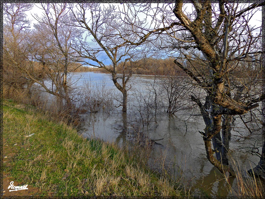 Foto: 150224-22 RIO EBRO EN JUSLIBOL - Zaragoza (Aragón), España