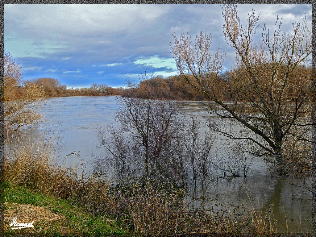 Foto: 150224-24 RIO EBRO EN JUSLIBOL - Zaragoza (Aragón), España