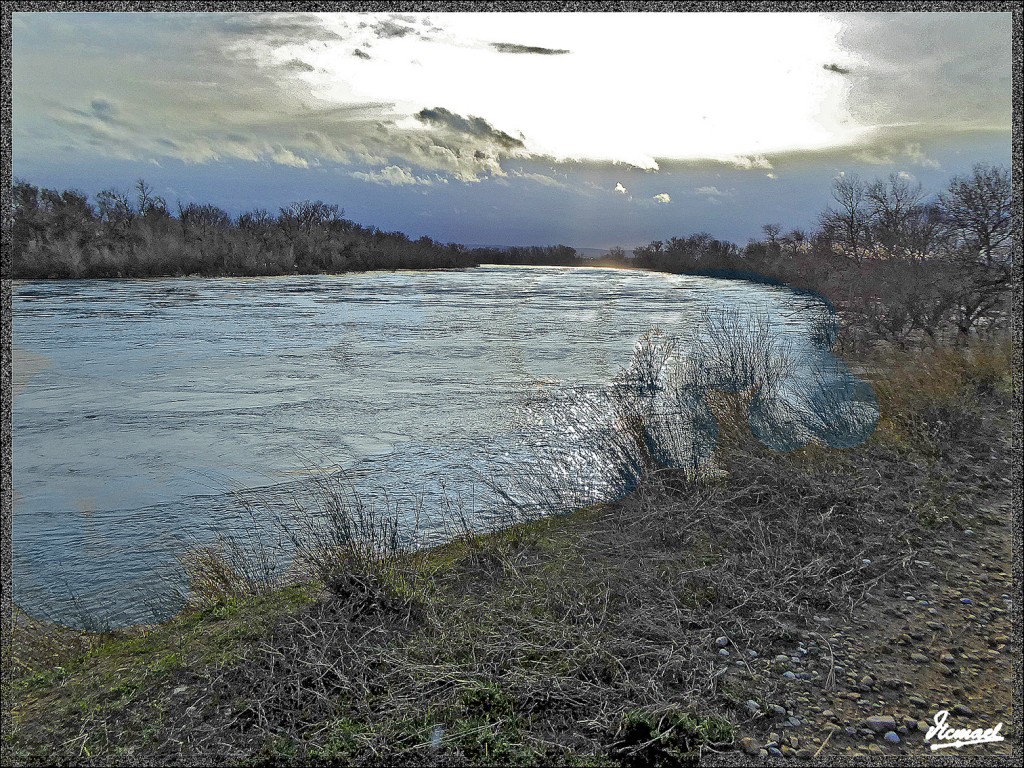 Foto: 150224-27 RIO EBRO EN JUSLIBOL - Zaragoza (Aragón), España