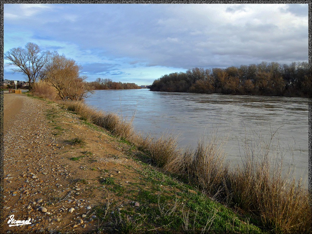 Foto: 150224-28 RIO EBRO EN JUSLIBOL - Zaragoza (Aragón), España