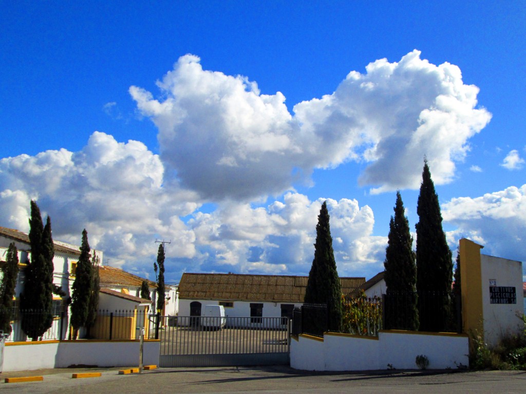 Foto: Cupimar - San Fernando (Cádiz), España