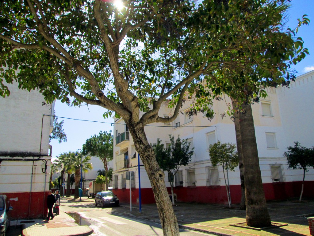 Foto: Calle Eo - San Fernando (Cádiz), España