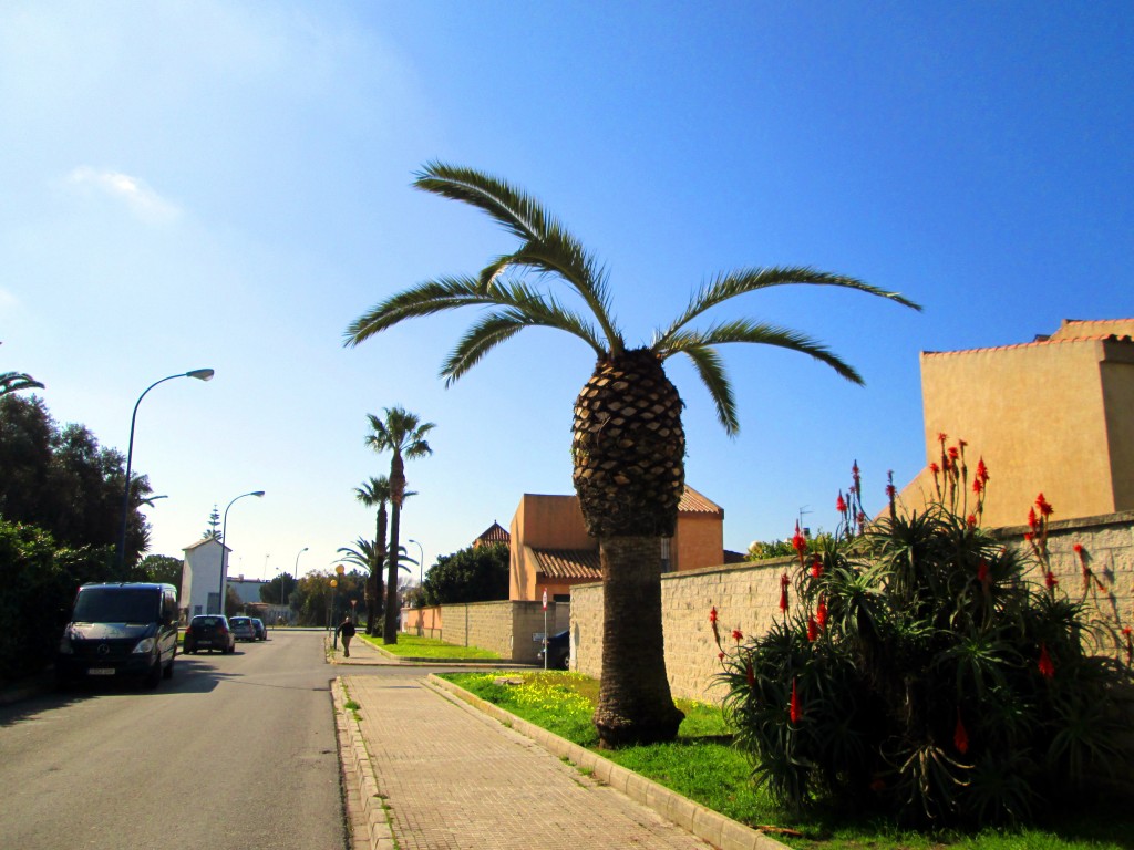 Foto: Calle Lúgano - San Fernando (Cádiz), España