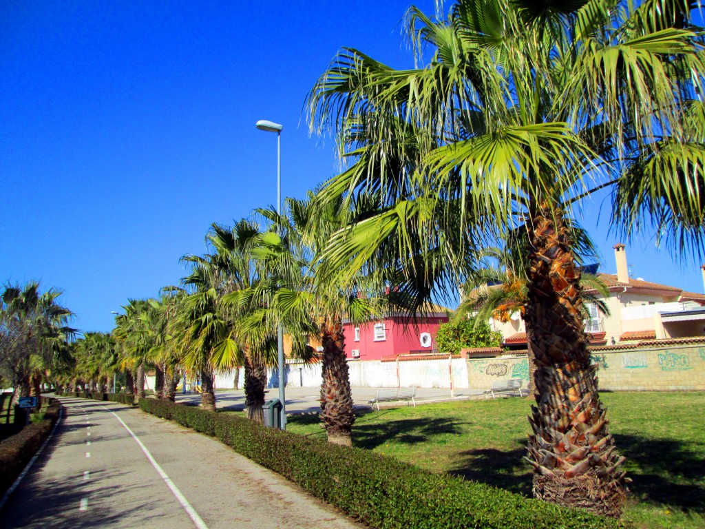 Foto: Recinto Deportivo - San Fernando (Cádiz), España