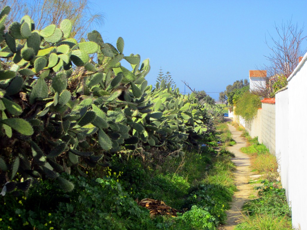 Foto: Calle Callejón Angosto - San Fernando (Cádiz), España