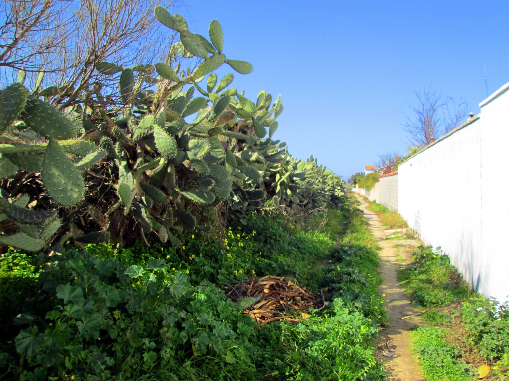 Foto: Callejón Angosto - San Fernando (Cádiz), España